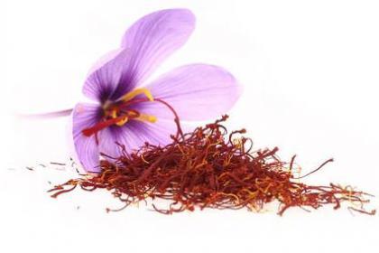 Przyprawy jednorodne i mieszanki 100% BIO Szafran nitki BIO Puszka, torebka Kraj pochodzenia: Turcja Przyprawa pozyskiwana z odmiany krokusa (Crocus sativus).