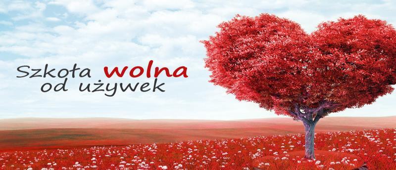 Profilaktyka uzależnień od alkoholu, tytoniu i innych środków psychoaktywnych Program na szczeblu centralnym koordynowany przez Główny Inspektorat Sanitarny we współpracy z Państwową Agencją