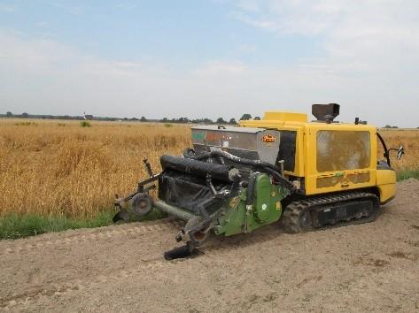 Metoda fitosanitarna + metoda fizyczna + metoda mechaniczna + metoda biologiczna Doświadczenie XVII (polowe), Brzostówka 2014-2015 Metodyka doświadczenia Opis badania za rok 2014 i 2015 jest