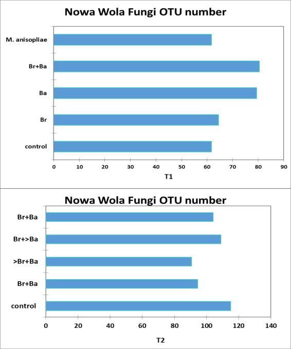 W glebie pobranej z kombinacji kontrolnej w maju 2016 r. (przed zastosowaniem czynników biologicznych) odnotowano występowanie dwóch gatunków grzybów owadobójczych: B. bassiana i M. anisopliae.