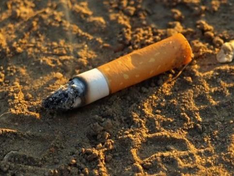 Podział śladów kryminalistycznych ze względu na mechanizm ich powstania: Inne ślady to wszystkie te ślady, których nie da się zaliczyć do odwzorowań lub do plam.