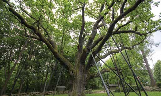 Park Rozrywki i