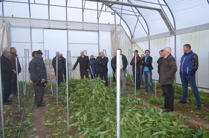 wprowadzenie nowoczesnych konstrukcji tuneli foliowych z podwójną folią i pompowanych powietrzem