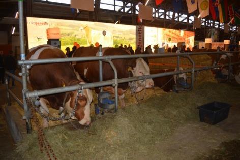Liczba uczestników: 35 rolnicy, doradcy, przedsiębiorcy, przedstawiciele instytucji rolniczych i okołorolniczych, uczelni wyższych, przedstawiciele związków branżowych i zrzeszeń
