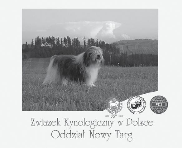 radą w żywieniu psów, wychowaniu i socjalizacji - radami w przygotowaniu psów do wystaw. Sekcja Szkolenia naszego Oddziału organizuje szkolenia, testy i egzaminy PT i PO.