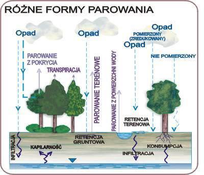 Kondensacja i parowanie W praktyce zagadnienie to wygląda następująco. Powietrze przy ziemi ogrzewa się, powiększa swoją objętość, a więc zmniejsza gęstość i jako lżejsze zaczyna się unosić.