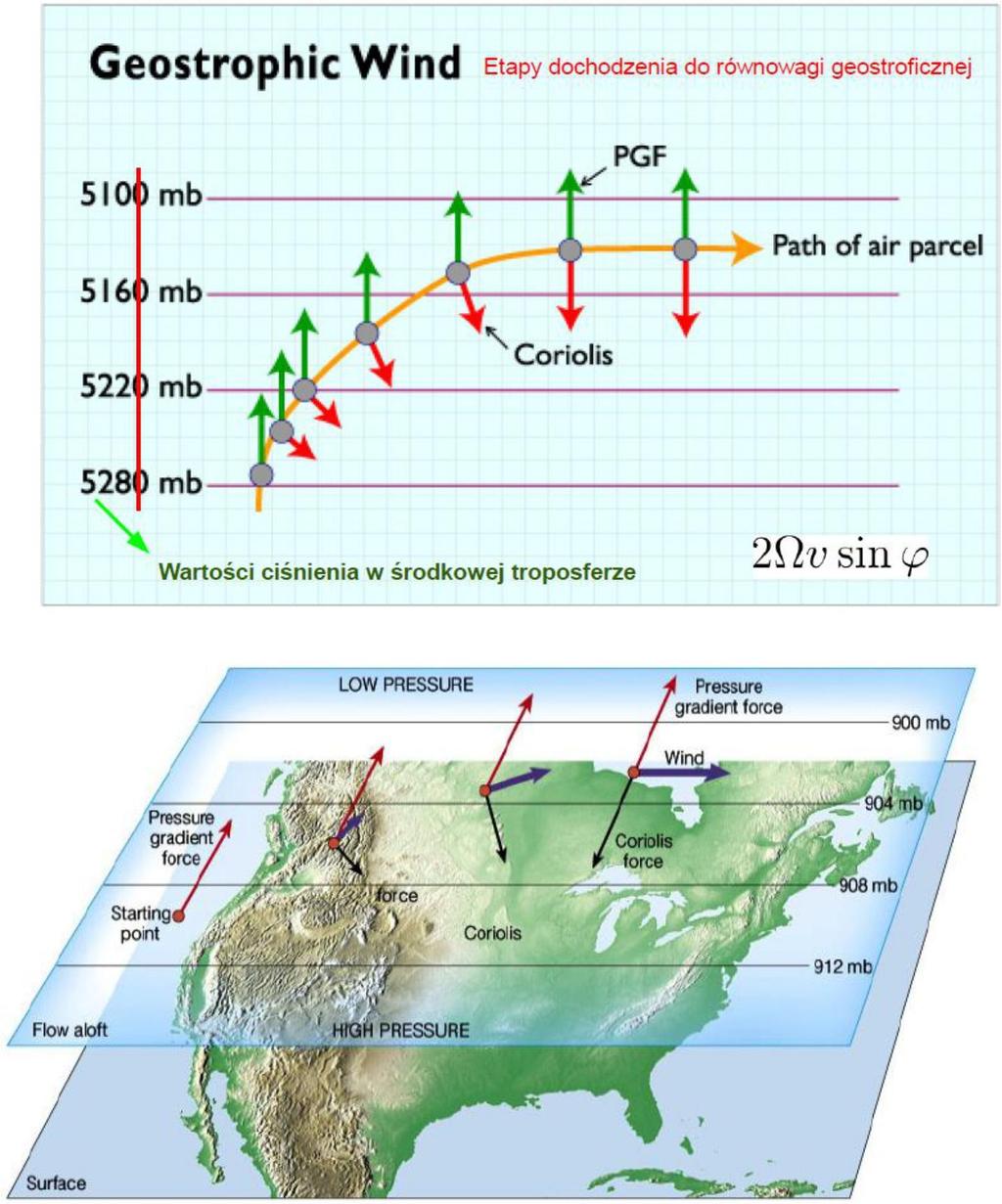 50. Ciśnienie i wiatr Siła Coriolisa Wiatr geostroficzny wieje powyżej 1 km (w warstwie gdzie tarcie nie odgrywa roli),