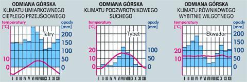 STREFA RÓWNIKOWA przez cały rok średnie miesięczne temperatury przekraczają 20 C; obejmuje trzy typy: klimat podrównikowy suchy występuje na sawannach (suchych); charakteryzuje się jedną porą