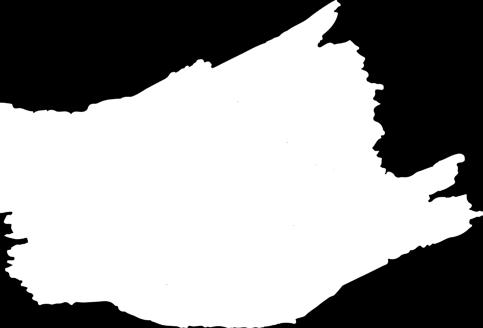 dekoracyjna