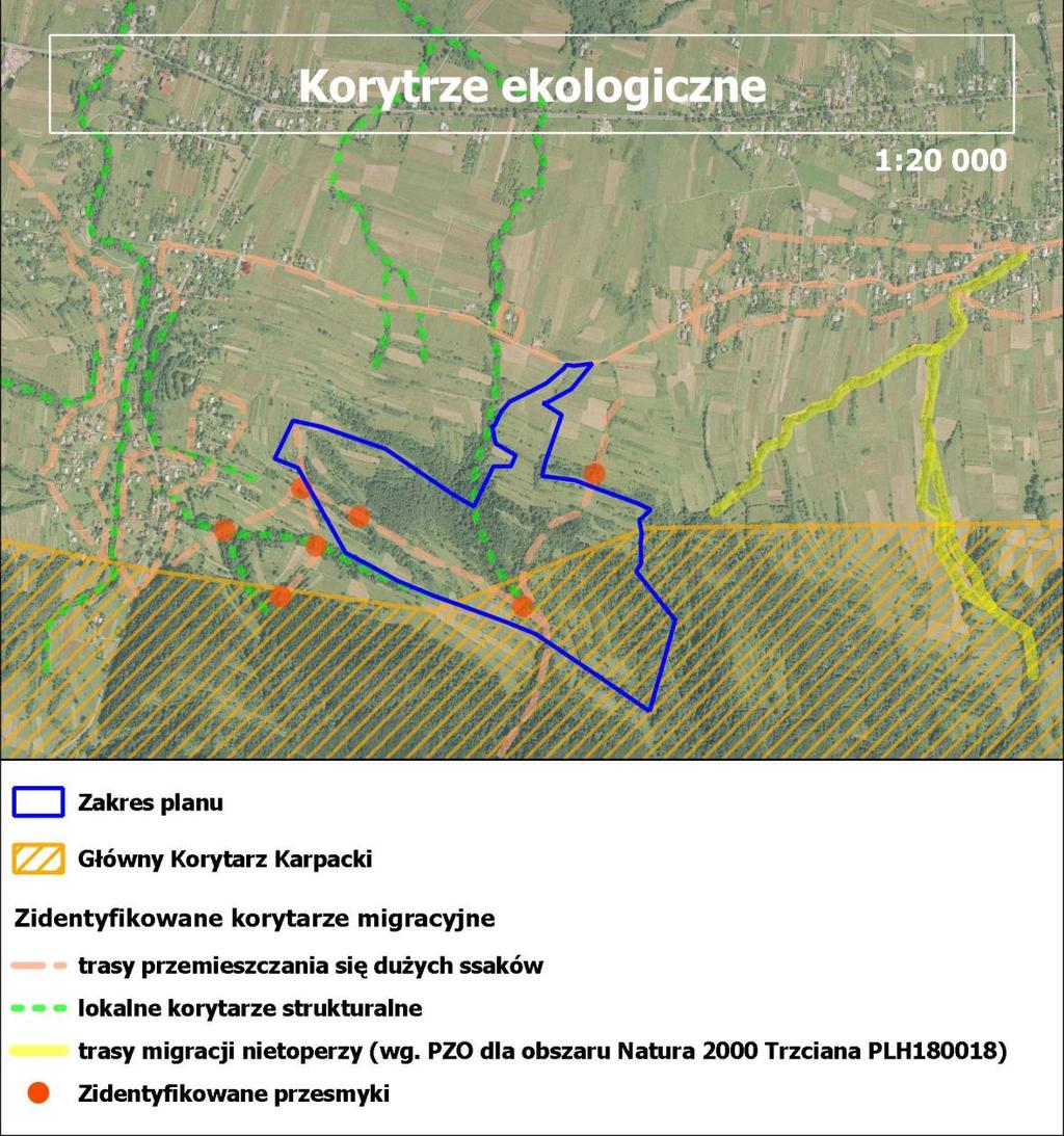 Prognoz oddziływni n środowisko zminy Miejscowego Plnu Zgospodrowni Przestrzennego Iwl w miejscowości Iwl, gmin Dukl, powit krośnieński, województwo podkrpckie 175 Mp nr 16.