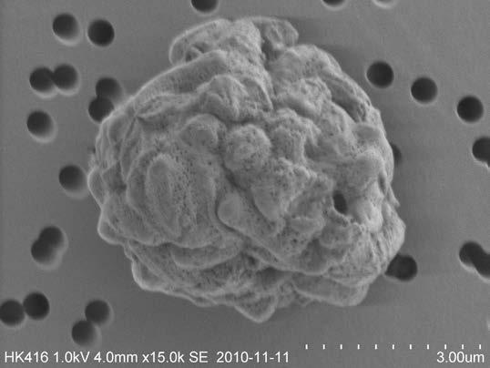 slit-to-agar Szklany impaktor