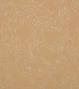 Constellation