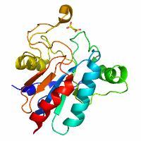 Regulacja selenu inna bajka Selenian (H 2 SeO 4 ) Selenocysteina (SeCys) Selenoproteiny Selenit (H 2