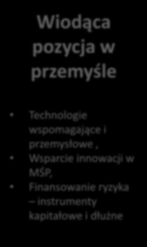 wspomagające i przemysłowe, Wsparcie innowacji w MŚP, Finansowanie ryzyka instrumenty kapitałowe i