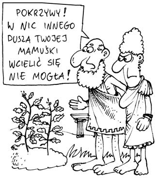 Agnieszka Piecewska Bób, magia i liczby Co twierdzi Pitagoras na temat dzikich ptaków? Takie pytanie pada w komedii Szekspira Wieczór Trzech Króli.