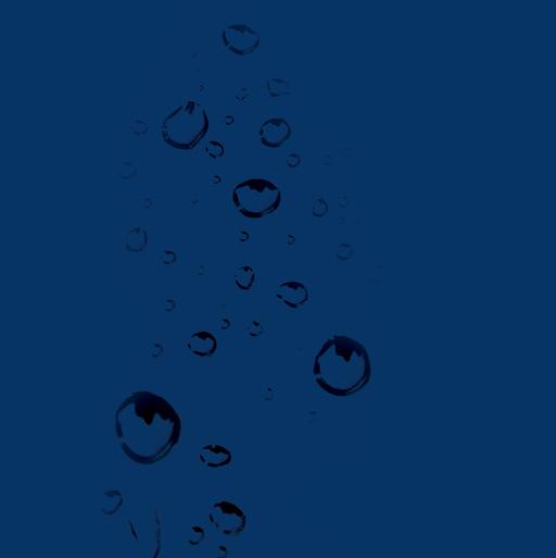 www.pogp.