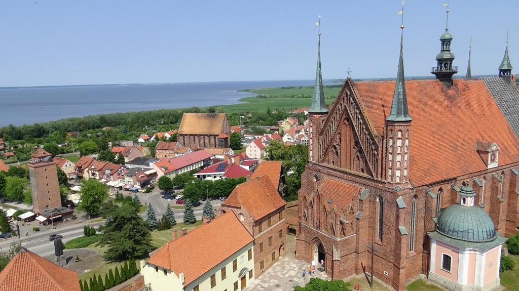 Na placu przed katedrą mogli zobaczyć pomnik przyrody okazały dąb szypułkowy.