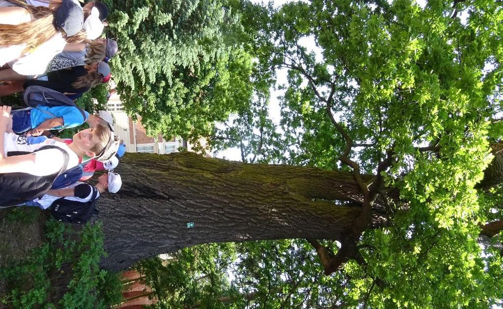 zafundowane przez Radę Rodziców lody. Następnie pożegnali się z morzem i zrobili na plaży pamiątkowe zdjęcia.