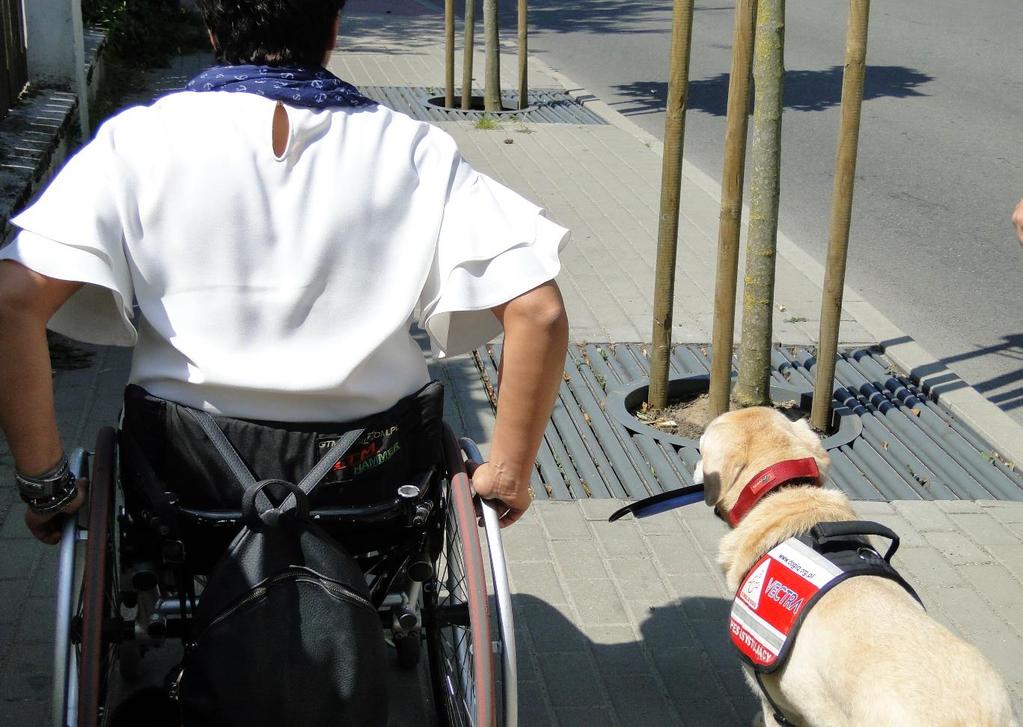 Urządzenia transportu osobistego a Projektowanie Uniwersalne Personal Mobility Devices and