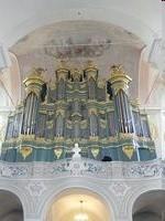 organistą