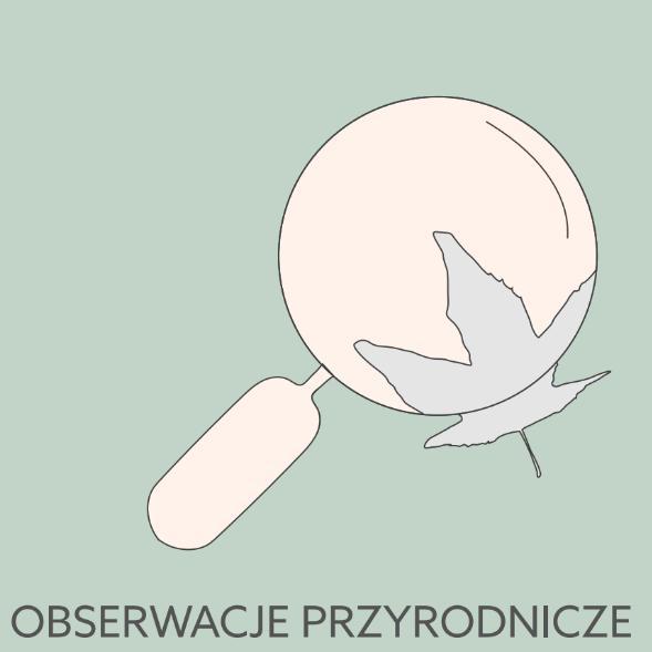 Stanowią one uniwersalną pomoc, którą wykorzystuję się na