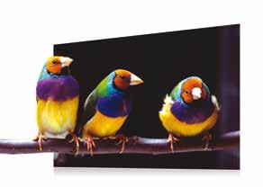 Model ten można w prawdziwej jakości 4K HDR.