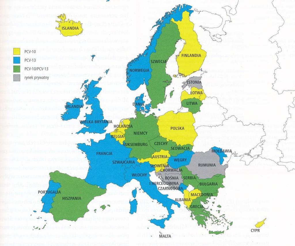 Programy szczepień przeciwko pneumokokom w Europie (stan z dnia 28.