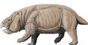 PROGRAM KONFERENCJI ŚLĄSKIE DINOZAURY (NIE TYLKO) Z KRASIEJOWA KRAKÓW 2015 V SESJA POPULARNONAUKOWA ORGANIZOWANA PRZEZ INSTYTUT NAUK GEOLOGICZNYCH PAN I STUDENCKIE KOŁO NAUKOWE PALEONTOLOGÓW