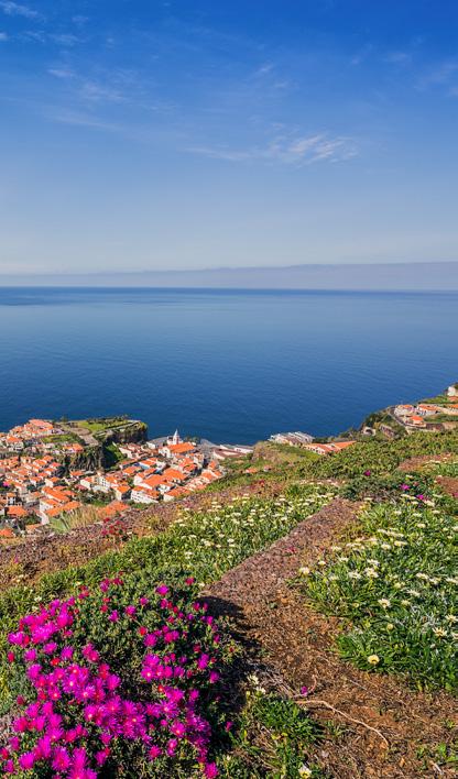 Pola namiotowe W regionie znajdują się dwa pola namiotowe. Kemping Porto Moniz mieści się przy ujściu Ribeira da Janela, ok. 20 minut spacerem i 4 minuty samochodem od wsi Porto Moniz.
