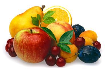 Kiedy w sadzie dojrzewają jabłka, gruszka, śliwki, wtedy dzieci na owoce szukają koszyczki. Ref: Złote gruszki i śliwki już się do nas śmieją, a czerwone jabłuszka w słońcu się rumienią.