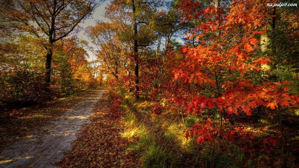 TEMAT KOMPLEKSOWY NR 3: Co z czego otrzymujemy Termin realizacji: 15.10 19.10.2018 rok CELE OGÓLNE: Zapoznanie z literą M mała i wielką, drukowaną i pisaną. Utrwalanie poznanych liter.