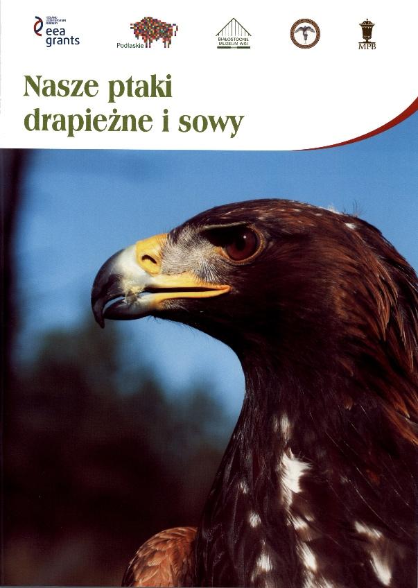 W jury konkursu zasiadały osoby z ogólnopolskiego klubu Gniazdo Sokolników.