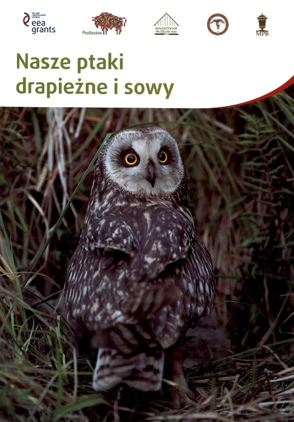 Całkowita frekwencja podczas imprezy wyniosła 17800 osób. W dniach 17-18.10.2015r.