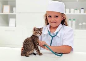 bekommen die Medikamente in Bananen, denn sie wollen die Tabletten nicht fressen. Elefanten Die kostenlos. ist Behandlung Die Elefanten.