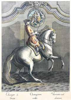 108 Według Johanna Eliasa Ridingera XX w.
