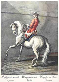M., sygn. p. d.: J. E. Ridinger inv. des. et excud. Aug. Vind. cena wywoławcza: 300 zł 109 Według Johanna Eliasa Ridingera XX w.