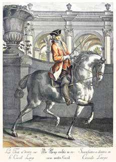 113 Według Johanna Eliasa Ridingera XX w.