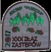 Sprawozdanie Zarząd podsumowanie programowe adresowane do środowiska szczepu 1.