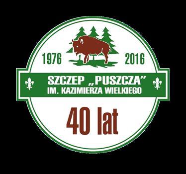 Sprawozdanie Zarząd podsumowanie programowe adresowane do środowiska szczepu 4.