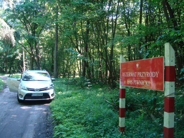 Ponieaż zamkach Torunia. mapki zegara danego dojazd. terenó ;-)))Dla ojeództa.