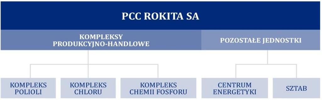 14.3.2.2. Struktura PCC Rokita W strukturze PCC Rokita SA wyodrębnione są trzy wyspecjalizowane kompleksy produkcyjne (Polioli, Chloru i Chemii Fosforu).