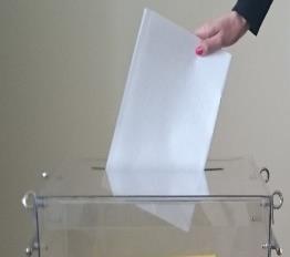 Osobie niepełnosprawnej, na jej prośbę, może pomagać w głosowaniu inna osoba, w tym także niepełnoletnia; pomoc ta może mieć tylko techniczny charakter; nie może ona polegać na sugerowaniu