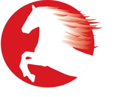 1/60 cm 10:00 Wydruk: 2018-05-06 19:41:51 Konkurs nr: 1 / 60 cm / Konkurs nr 1, Open, dokładności, wys. 60 cm (art.238.1.1) (Competition No: 1 / ) 1 DAGLEZJA (17) Kalina LIPIEC (JM.