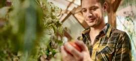 Segment Agro Koncentracja na utrzymaniu pozycji rynkowej oraz wzroście rentowości Działania wspierające sprzedaż i relacje z klientami Agro HUB w uznaniu wieloletniego doświadczenia w obsłudze rynku