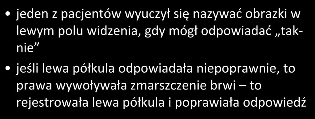 współpraca w rozszczepionym mózgu jeden z pacjentów wyuczył się