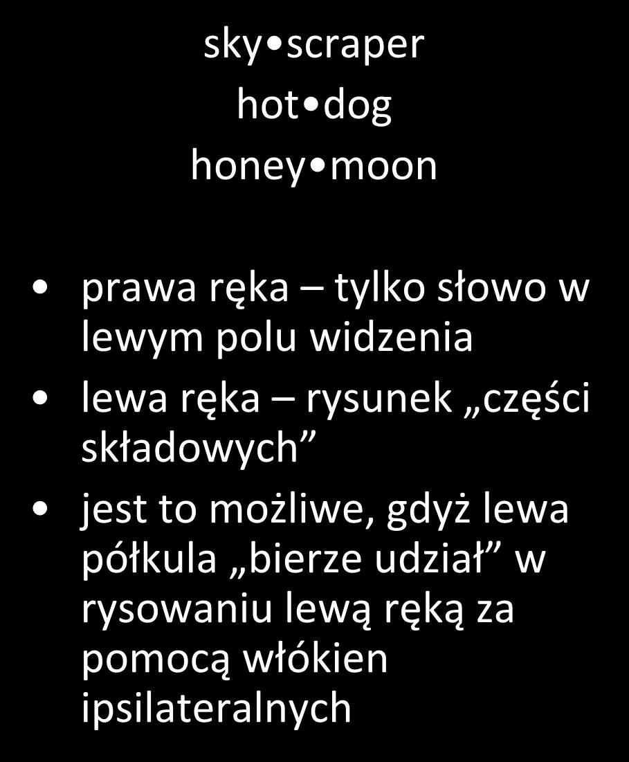 lateralna prezentacja słów sky scraper hot dog honey moon prawa ręka tylko słowo w lewym polu widzenia lewa ręka rysunek