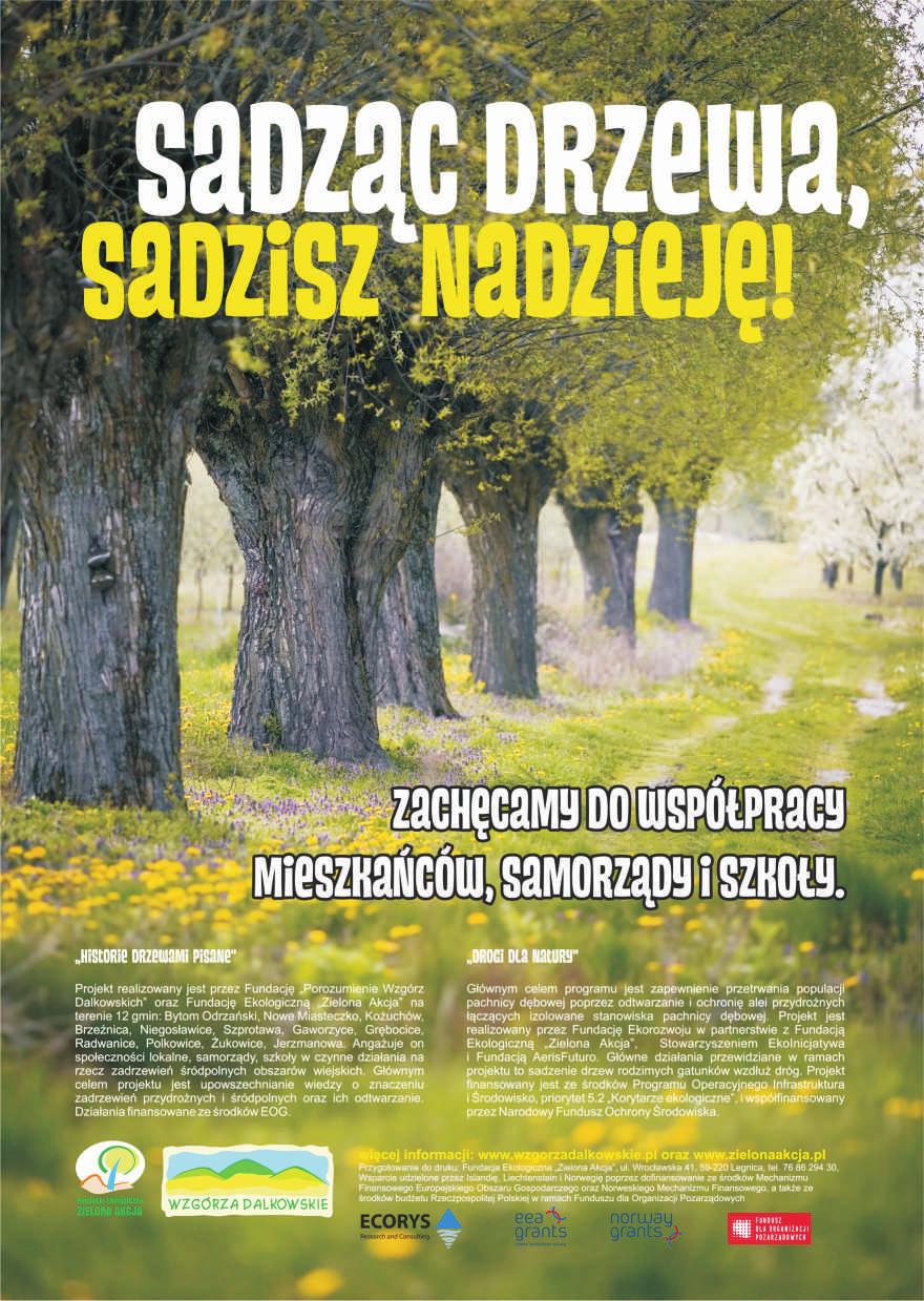 Nastêpie wykoao iwetaryzacjê alei a