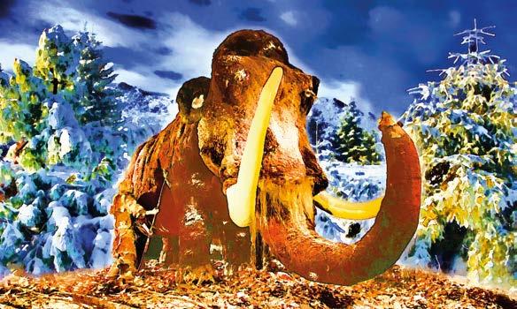 Centrum Neandertalczyka w Jaskini Raj Krajno Park Miniatur A byliście kiedyś nocą na zamku? 1 czerwca będziecie mieli niebywałą okazję, żeby sprawdzić, czy na Zamku Królewskim w Chęcinach straszy.
