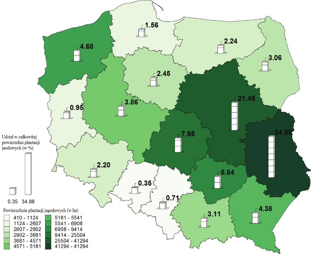 Udział w całkowitej powierzchni plantacji jagodowych (w %) Powierzchnia plantacji jagodowych