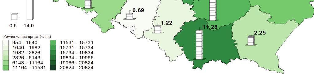Największą rolę w przetwórstwie owoców odgrywa produkcja soków pitnych, nektarów i napojów, których wielkość produkcji w analizowanym okresie sukcesywnie wzrastała.